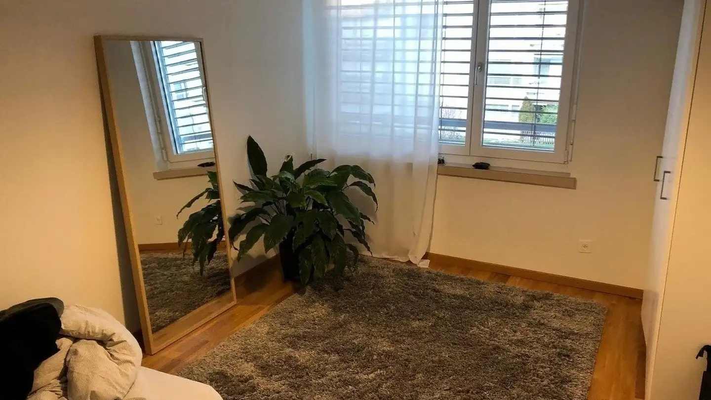 Single room for rent - Langhagstrasse 24, 4600 Olten