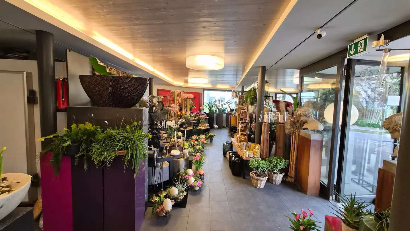 Commerciale in affitto - Spinnereistrasse 51, 8640 Rapperswil SG