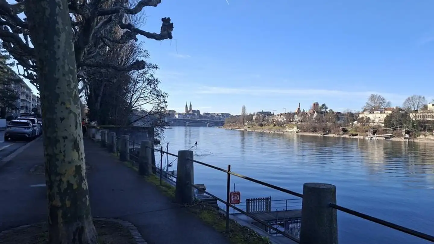 Attic flat for rent - Ramsteinerstrasse 19, 4052 Basel - Photo 2