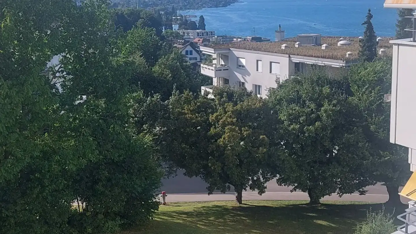 Appartamento in affitto - Heubachstrasse 44, 8810 Horgen