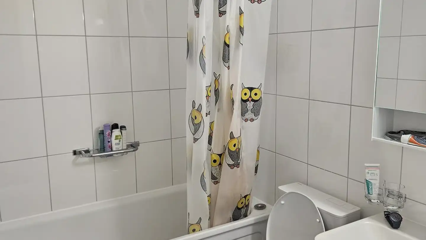 Appartement à louer - Chemin Des Bossons 7, 1018 Lausanne - Photo 3