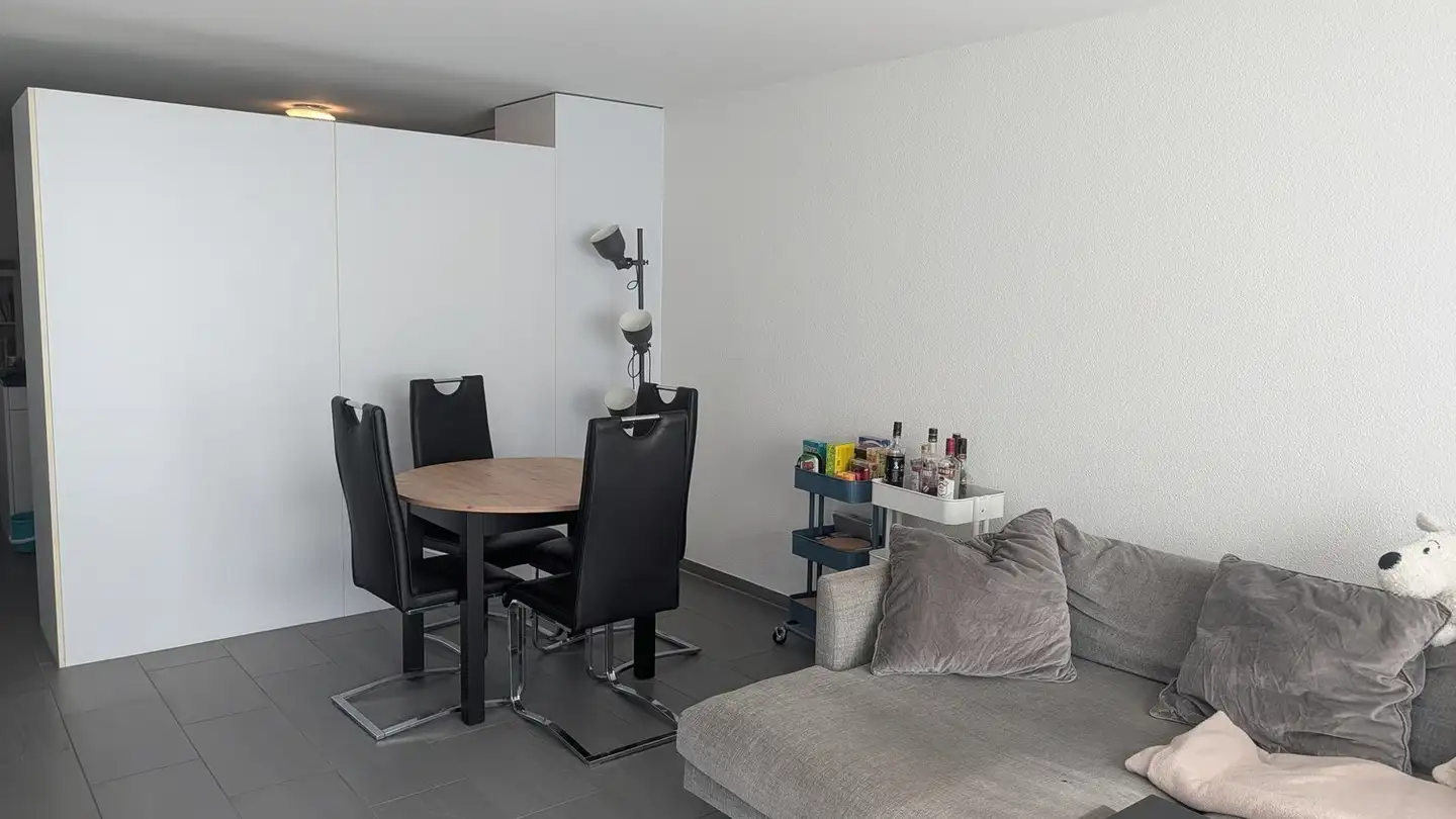 Furnished apartment for rent - 5000 Aarau - Photo 3