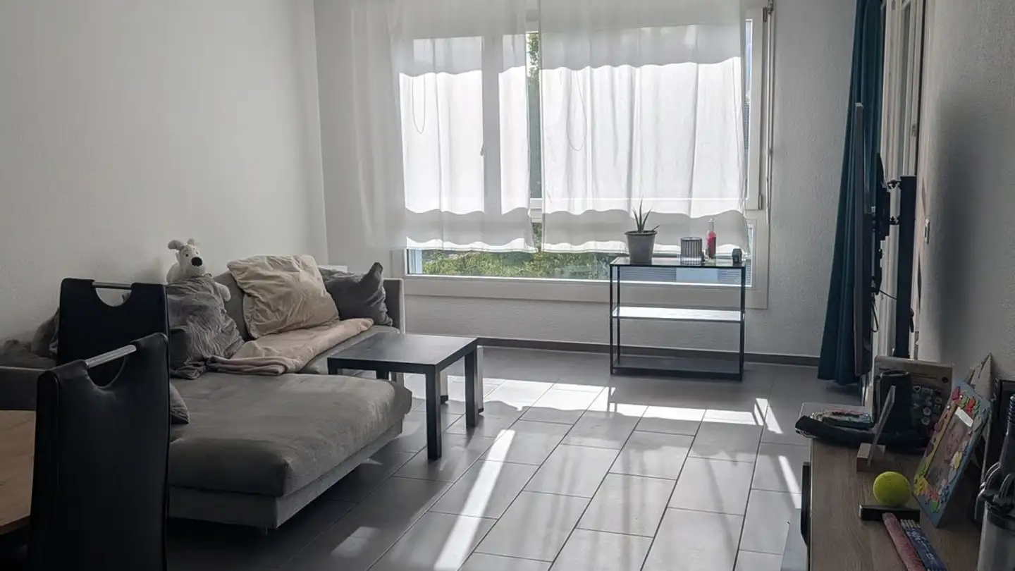 Furnished apartment for rent - 5000 Aarau - Photo 4