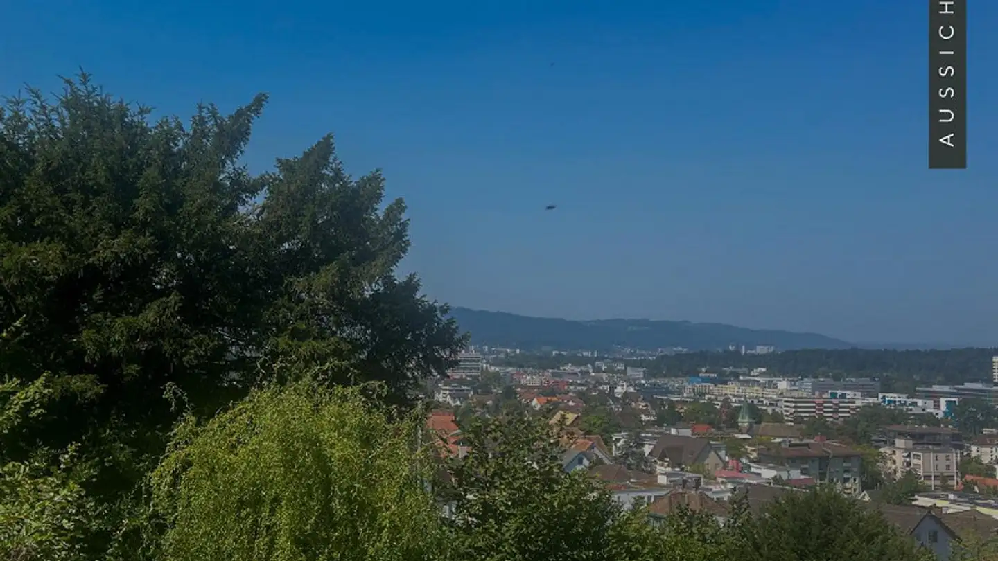 Wohnung kaufen - 8952 Schlieren