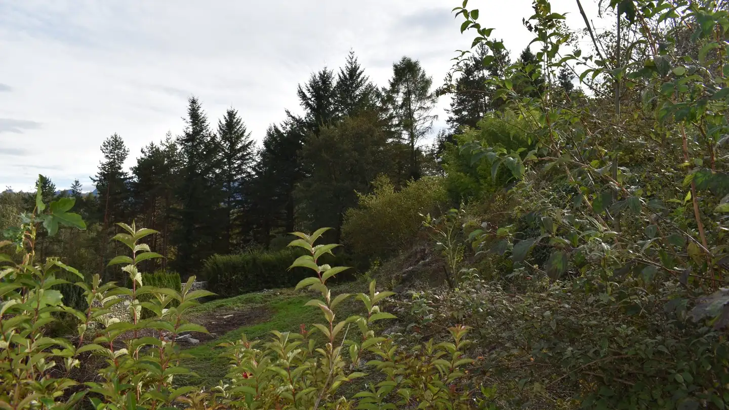 Terreno edificabile in vendita - Mittlerer Büchel, 9464 Rüthi (Rheintal) - Photo 2