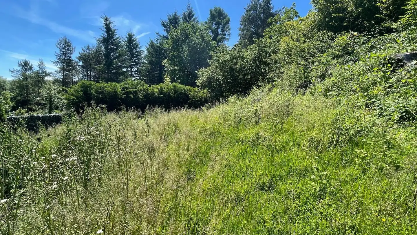 Terreno edificabile in vendita - 9464 Lienz - Photo 2