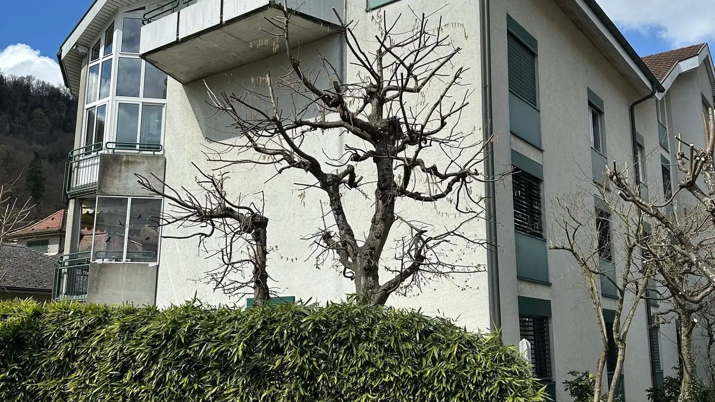 Attico in affitto - Hausmattweg 23, 4663 Aarburg - Foto 3