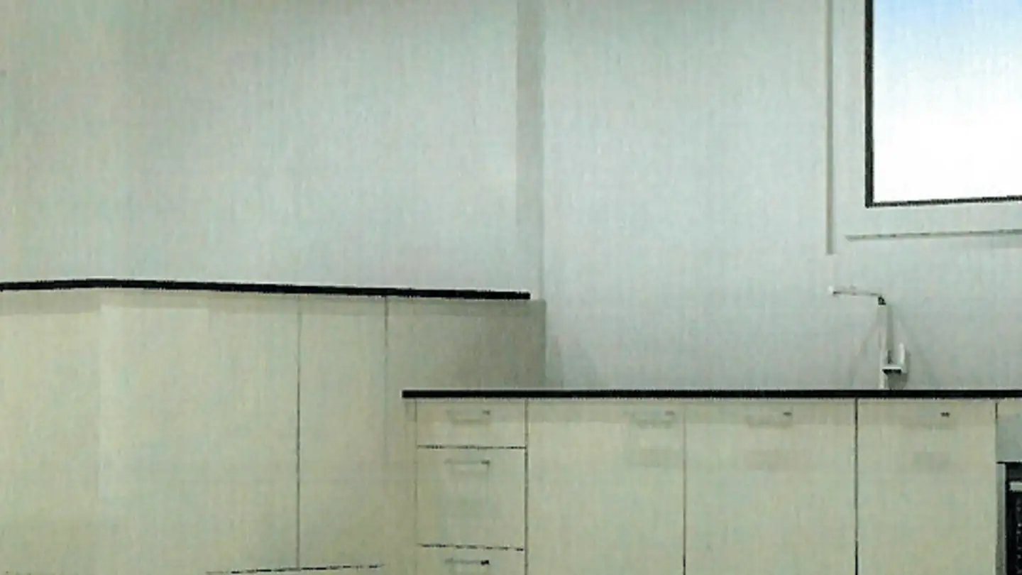 Studio mieten - Tulpenstrasse, 8051 Zürich - Foto 3