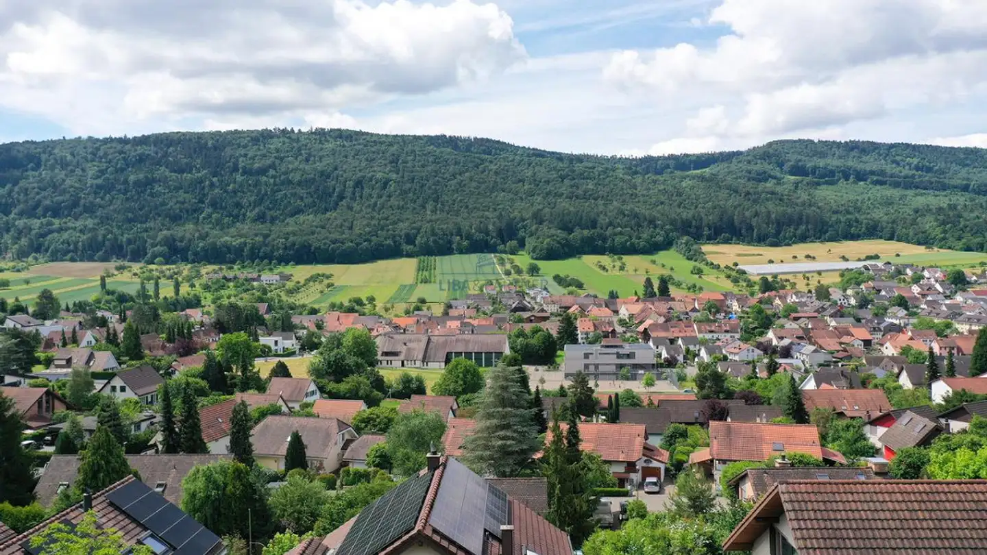 Bauland kaufen - In Den Reben, 4114 Hofstetten SO