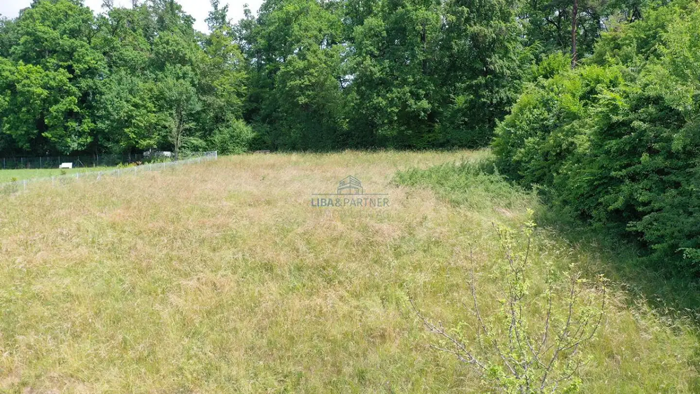 Bauland kaufen - In Den Reben, 4114 Hofstetten SO - Foto 3