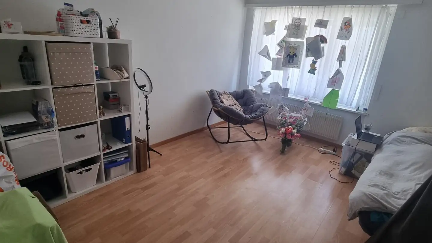 Chambre à louer - Scheideggweg 6, 6410 Goldau - Photo 2