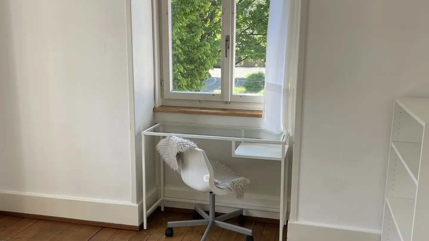 Appartamento in affitto - Uetlibergstrasse 159, 8045 Zürich - Photo 4