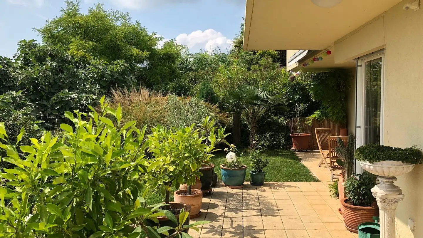 Appartamento in affitto - 6045 Meggen