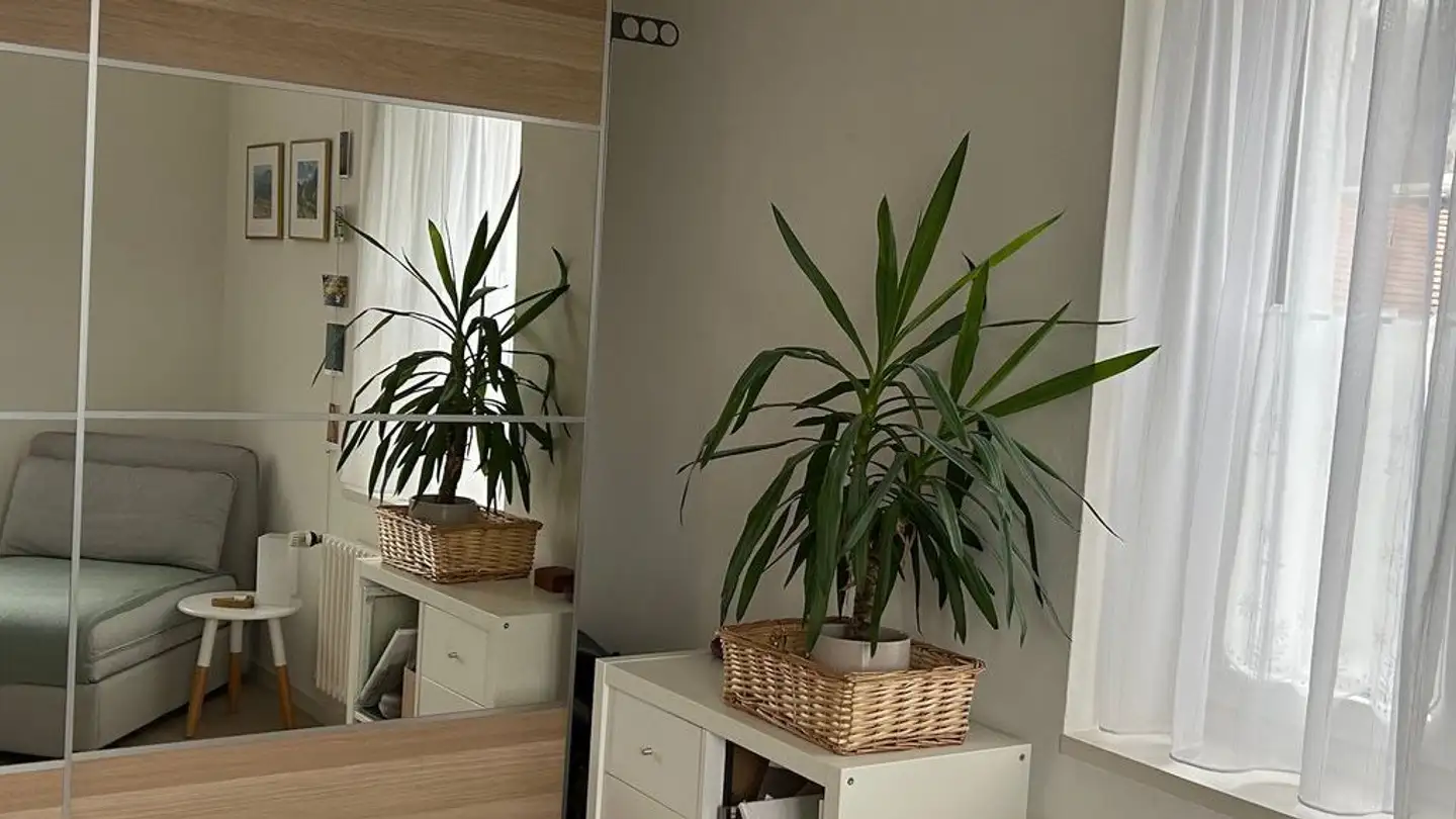 Furnished apartment for rent - Baslerstrasse 130, 5222 Umiken - Photo 3