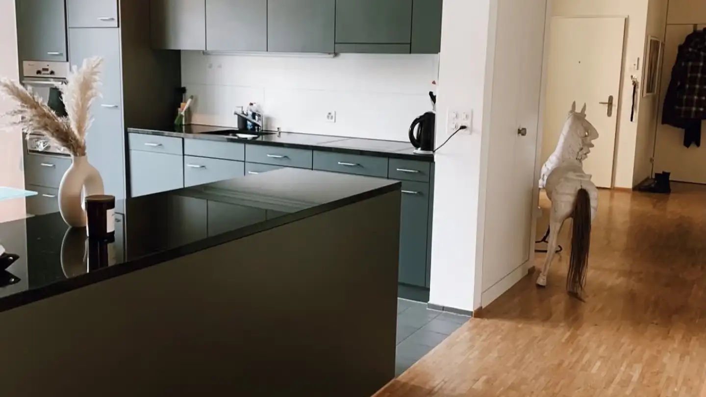 Single room for rent - Luchswiesenstrasse 30, 8051 Zürich
