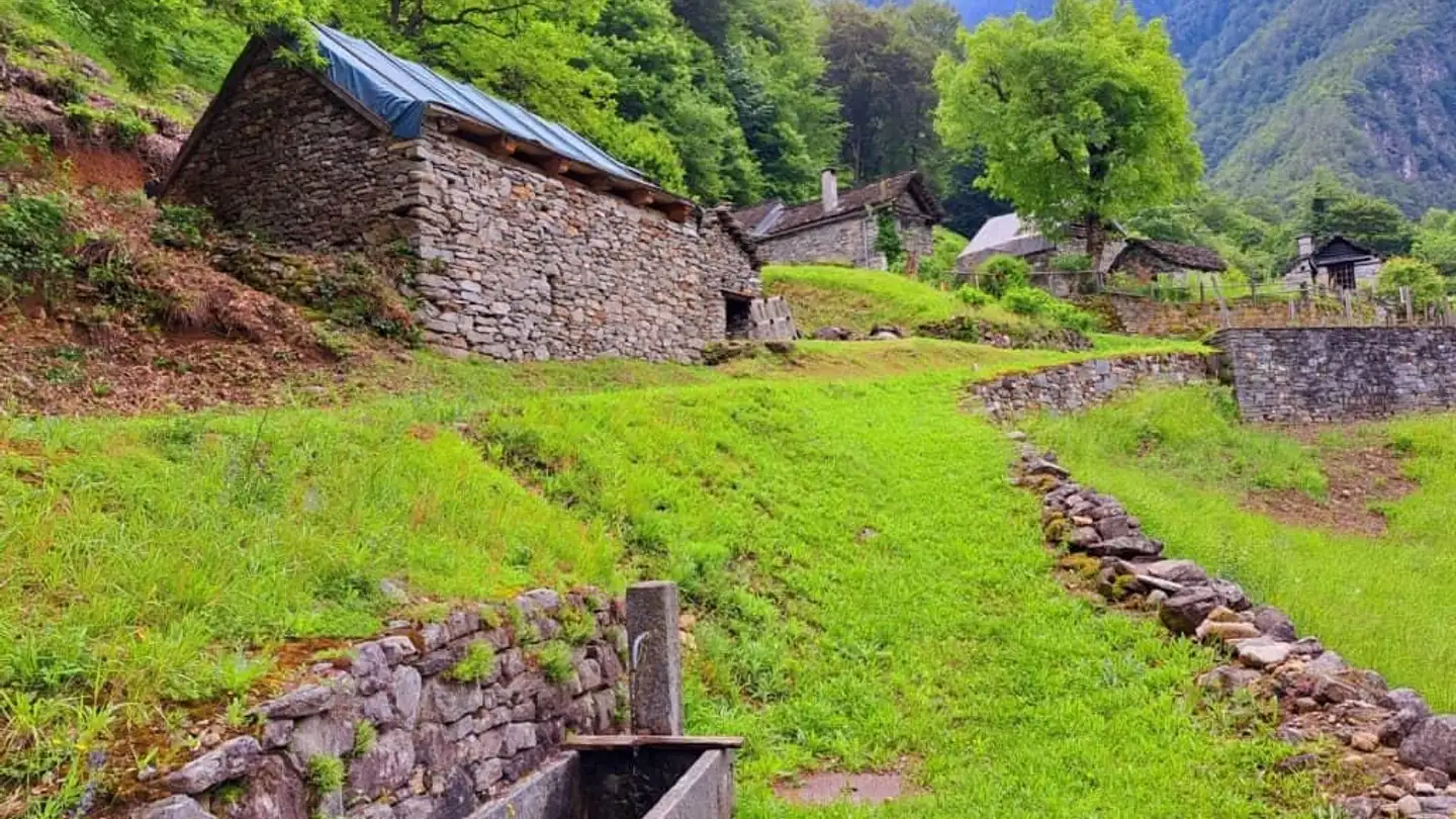 Single house for sale - Via Campagna, 6676 Bignasco - Photo 3