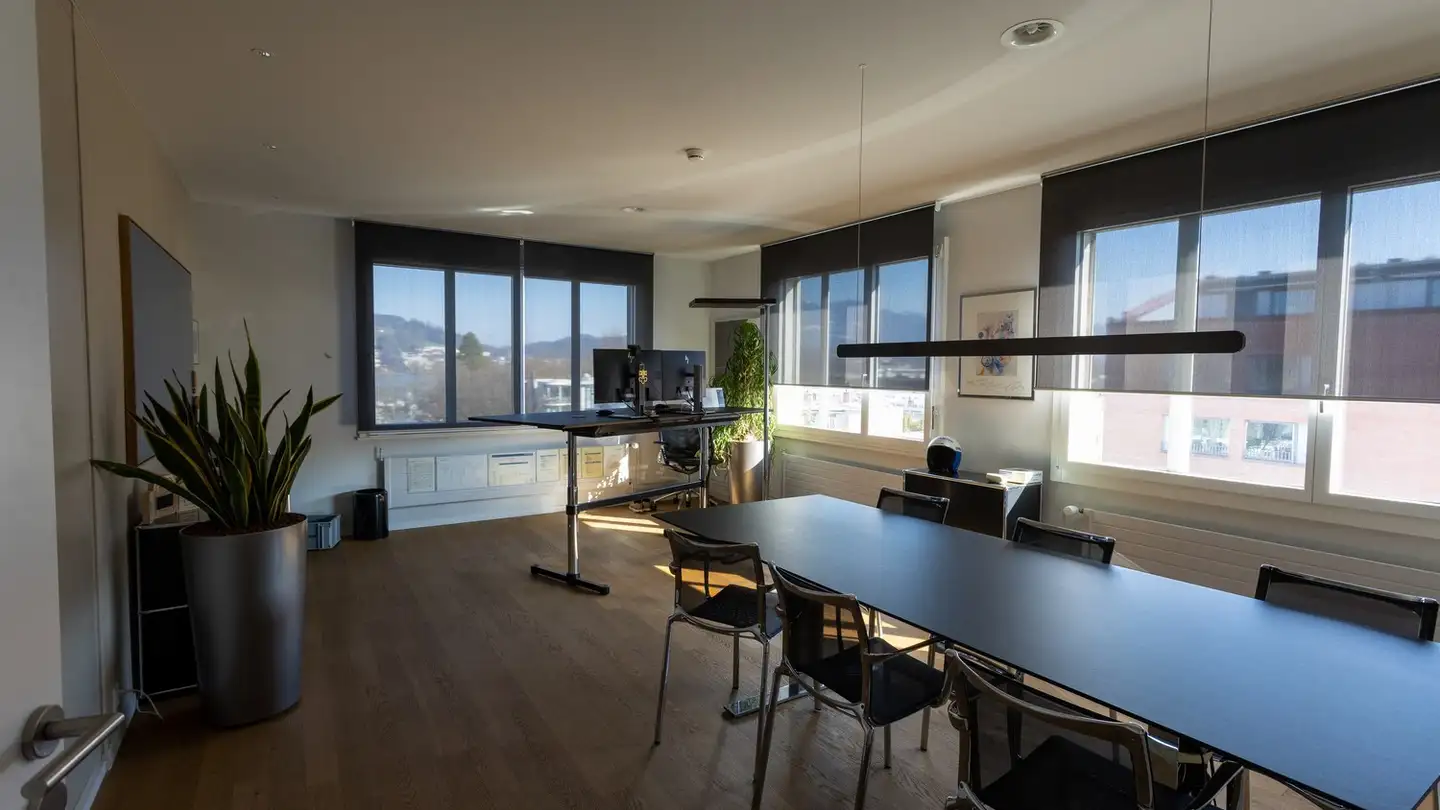 Commerciale in affitto - Werkhofstrasse 8, 6005 Luzern - Foto 4