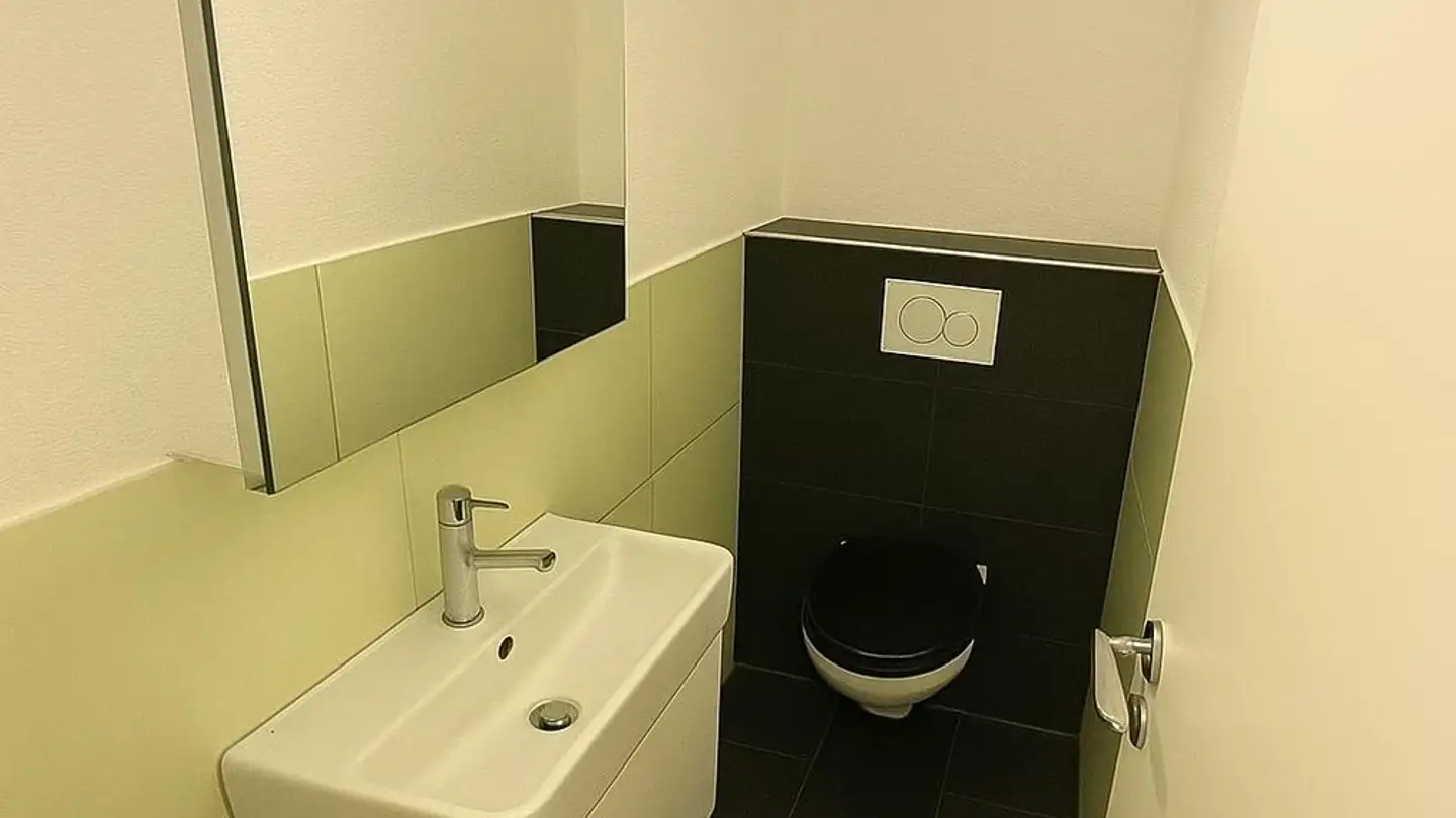 Apartment for rent - Allenmoosstrasse 115, 8057 Zürich - Photo 4