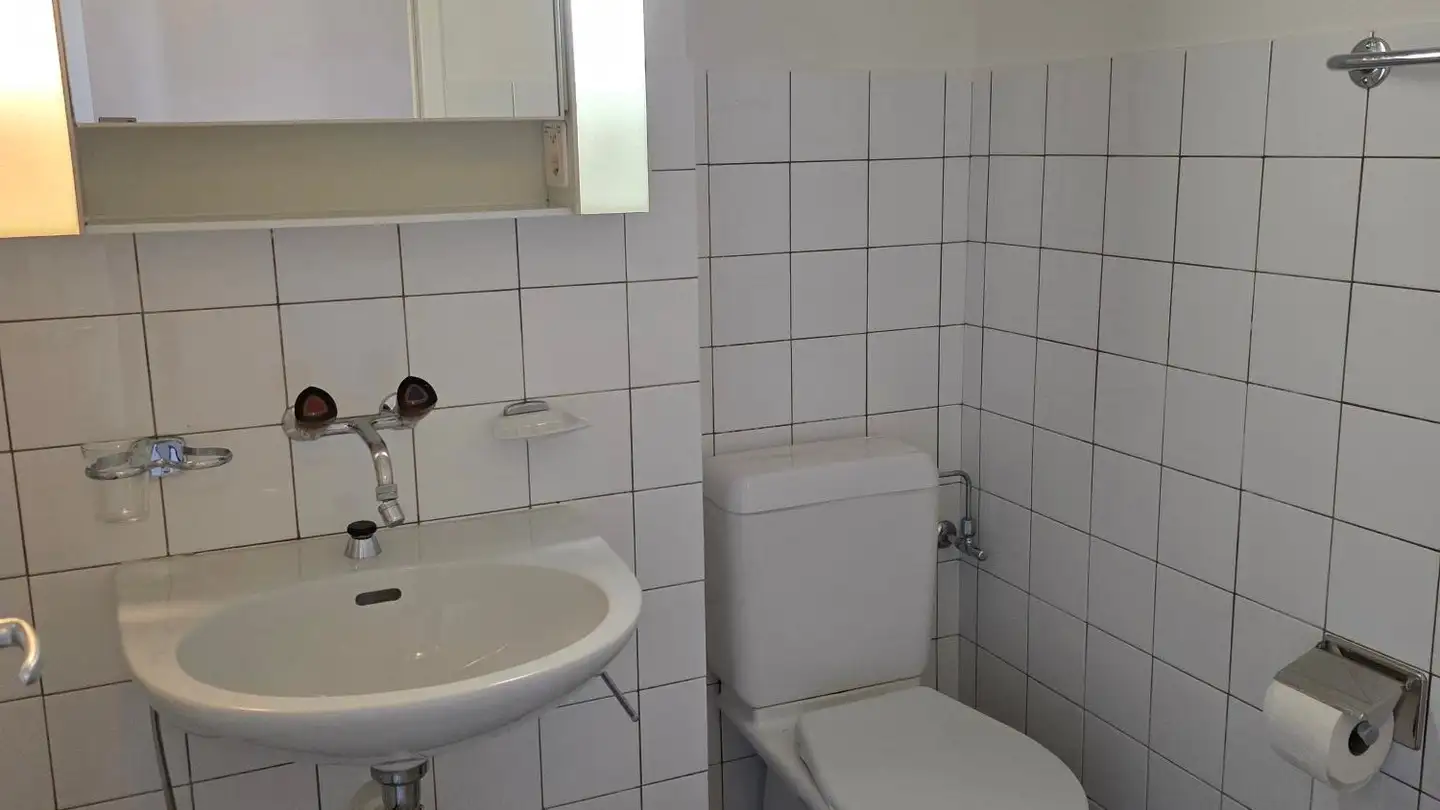 Appartamento in affitto - Birsackerweg 2, 4203 Grellingen - Photo 3