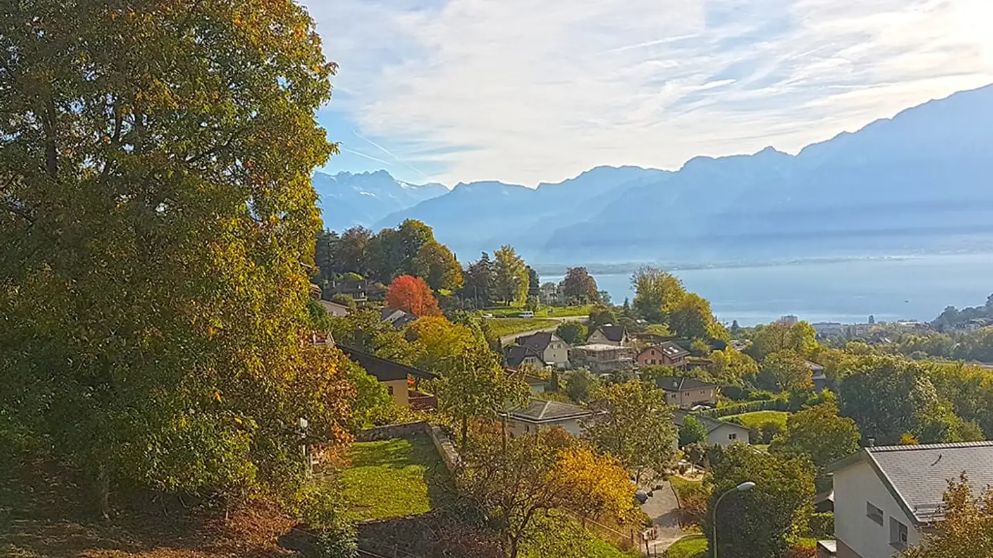 Villa à vendre - 1807 Blonay