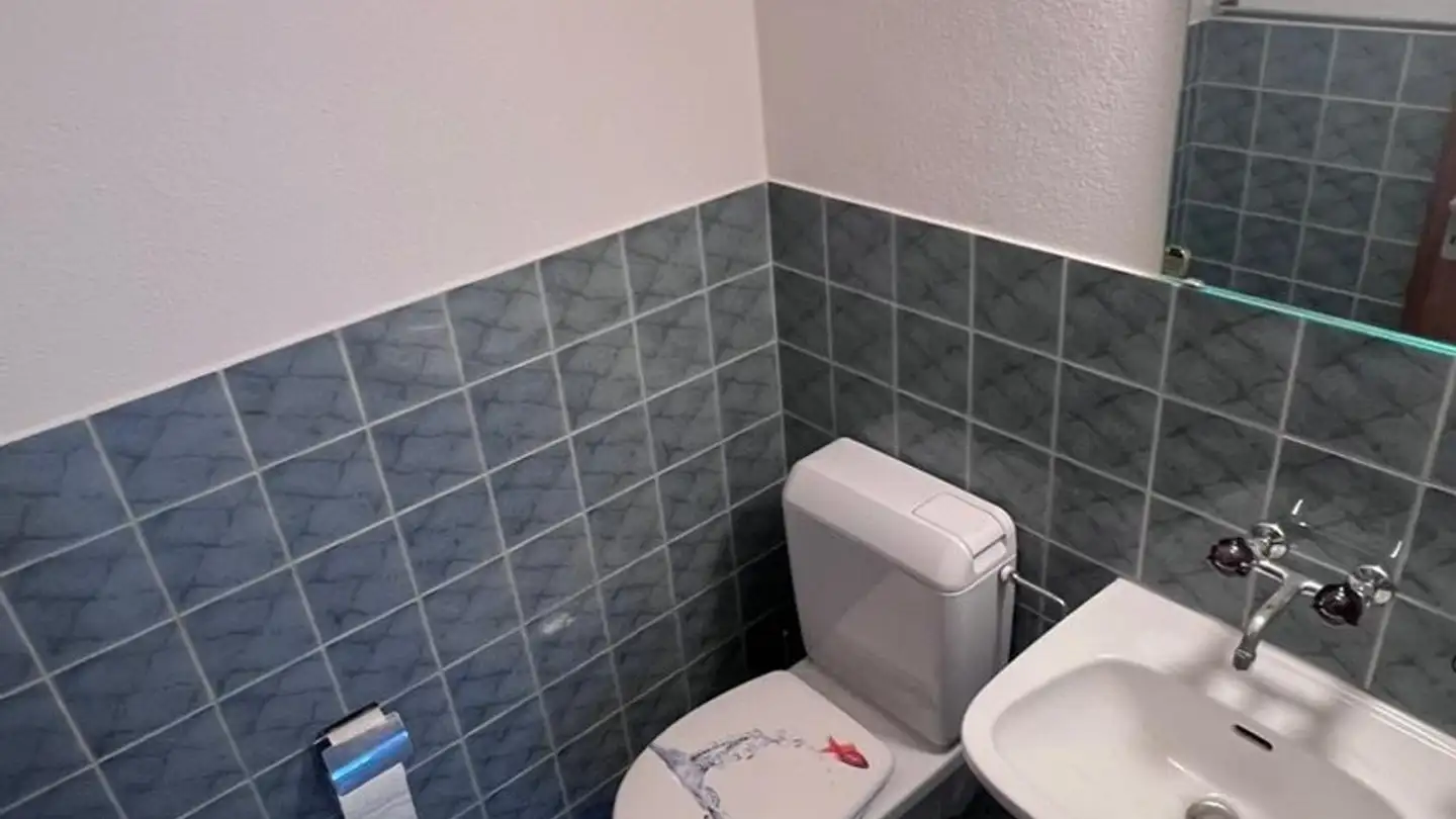 Apartment for rent - Reuttistrasse 15, 9500 Wil SG - Photo 4