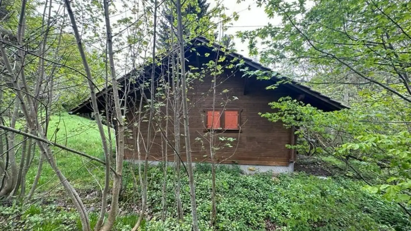 Terreno edificabile in vendita - 1264 St-Cergue - Foto 2