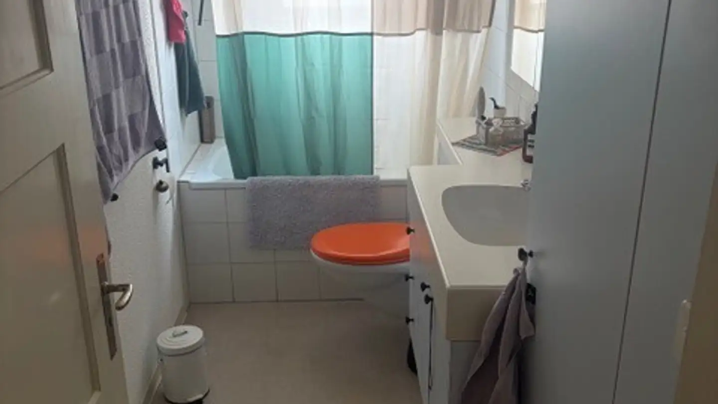 Appartamento in affitto - Giesshübelstrasse, 8045 Zürich - Foto 4