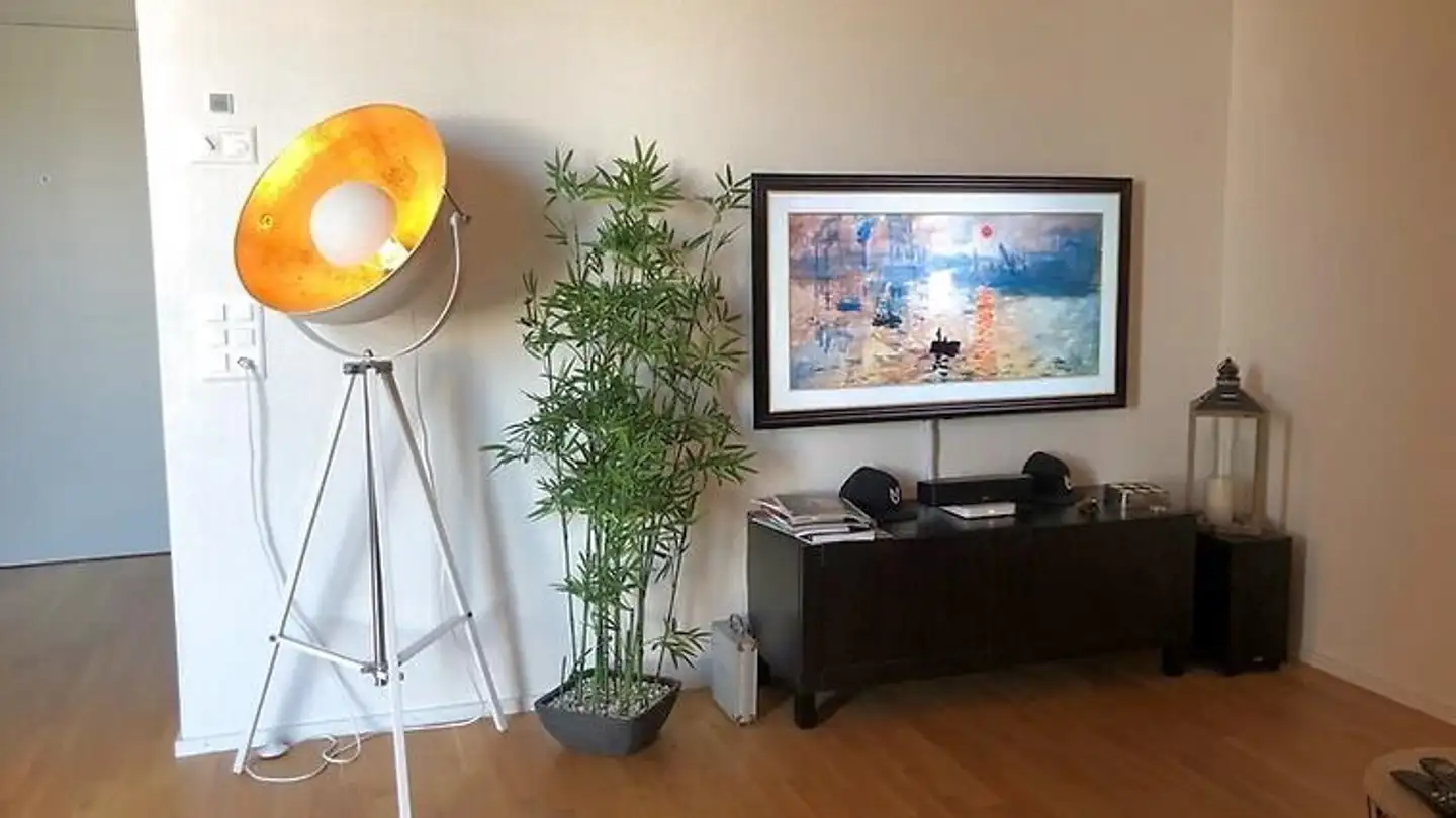 Appartamento ammobiliato in affitto - 5630 Muri AG