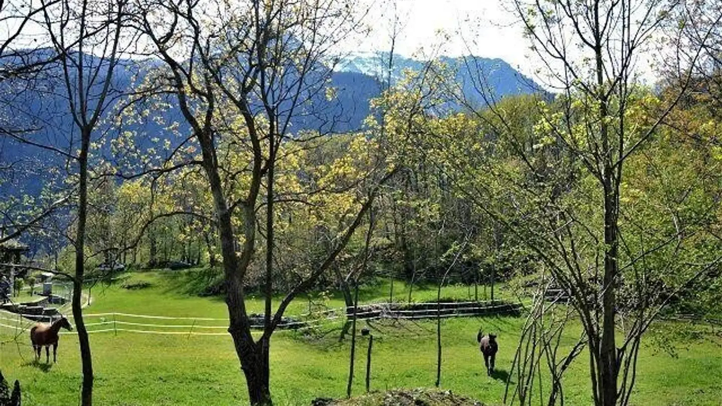 Constructible plot for sale - 6746 Calonico - Photo 3