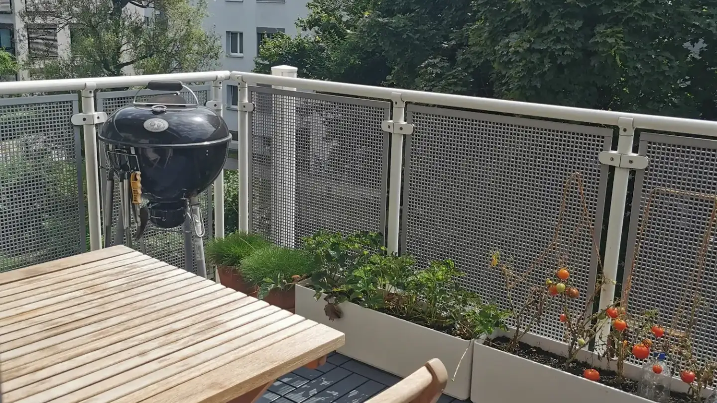 Chambre à louer - Badenerstrasse 721, 8048 Zürich - Photo 3