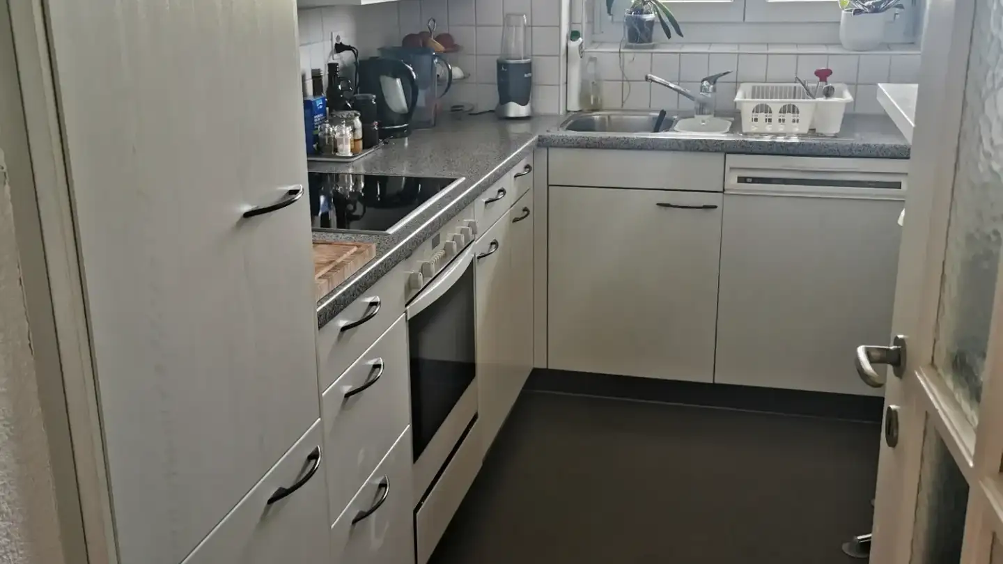 Chambre à louer - Badenerstrasse 721, 8048 Zürich - Photo 4