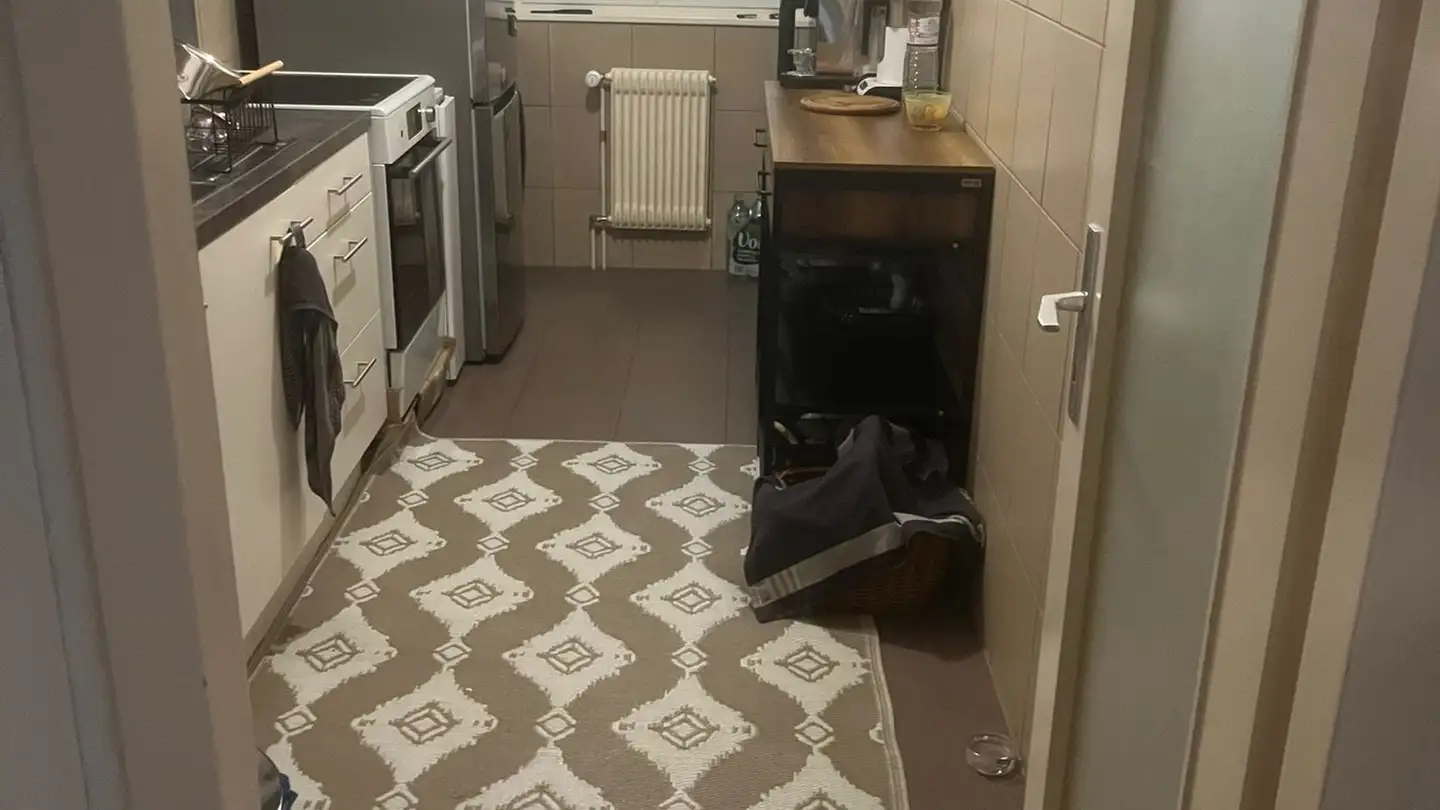 Apartment for rent - Boulevard du Pont-d'Arve, 1205 Genève