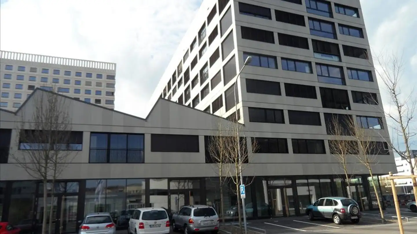 Duplex for rent - Brandstrasse 49, 8952 Schlieren