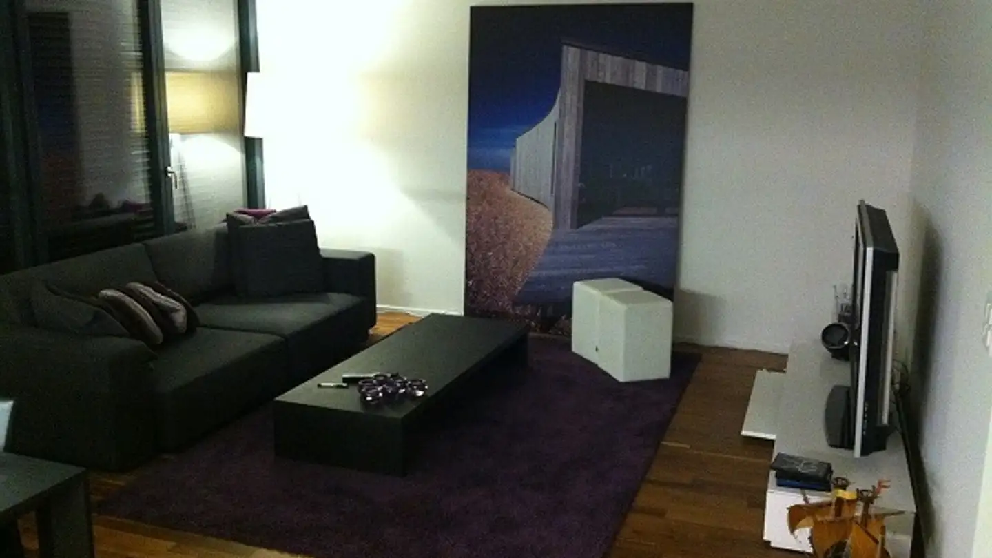 Duplex for rent - Brandstrasse 49, 8952 Schlieren - Photo 3