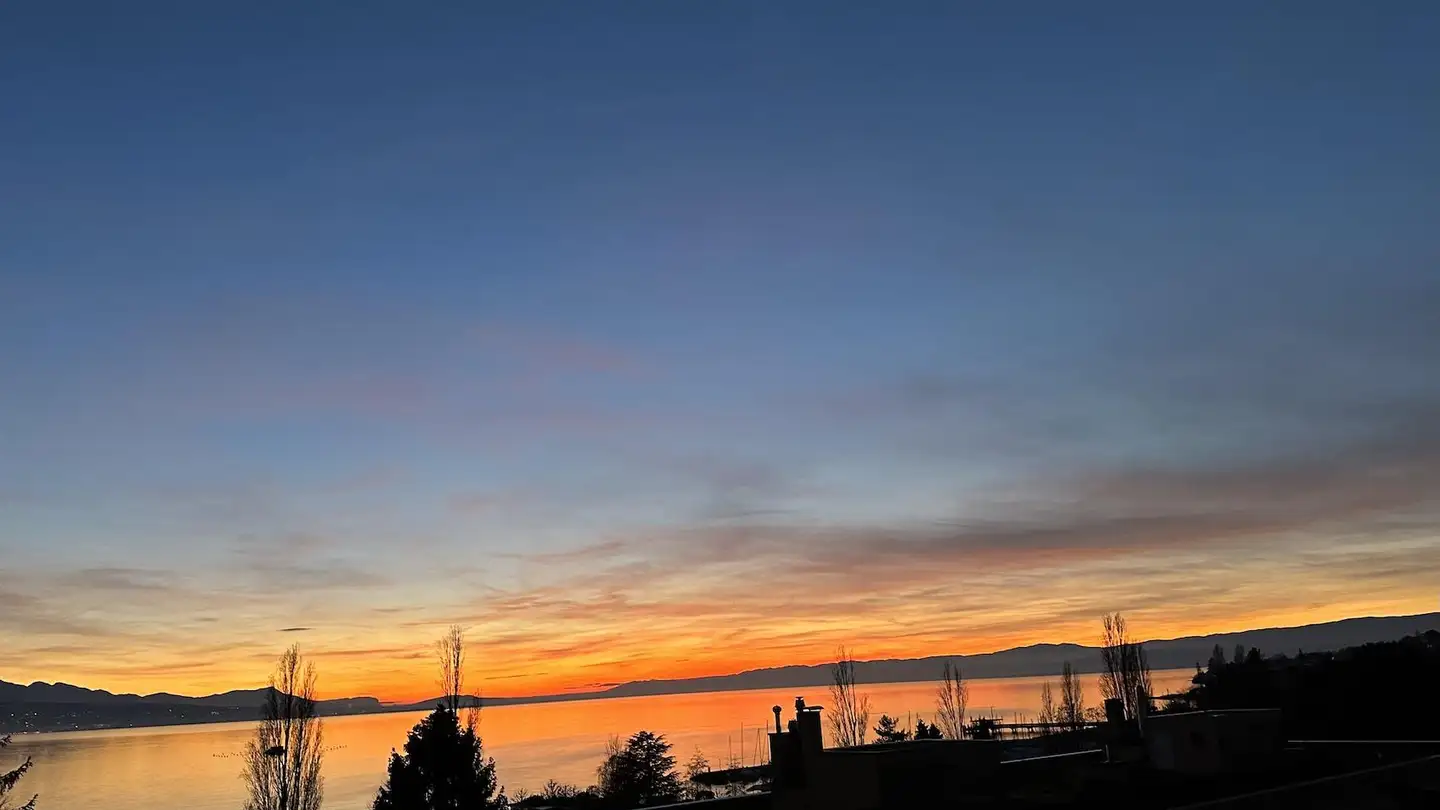 Appartement à vendre - 1009 Pully - Photo 3