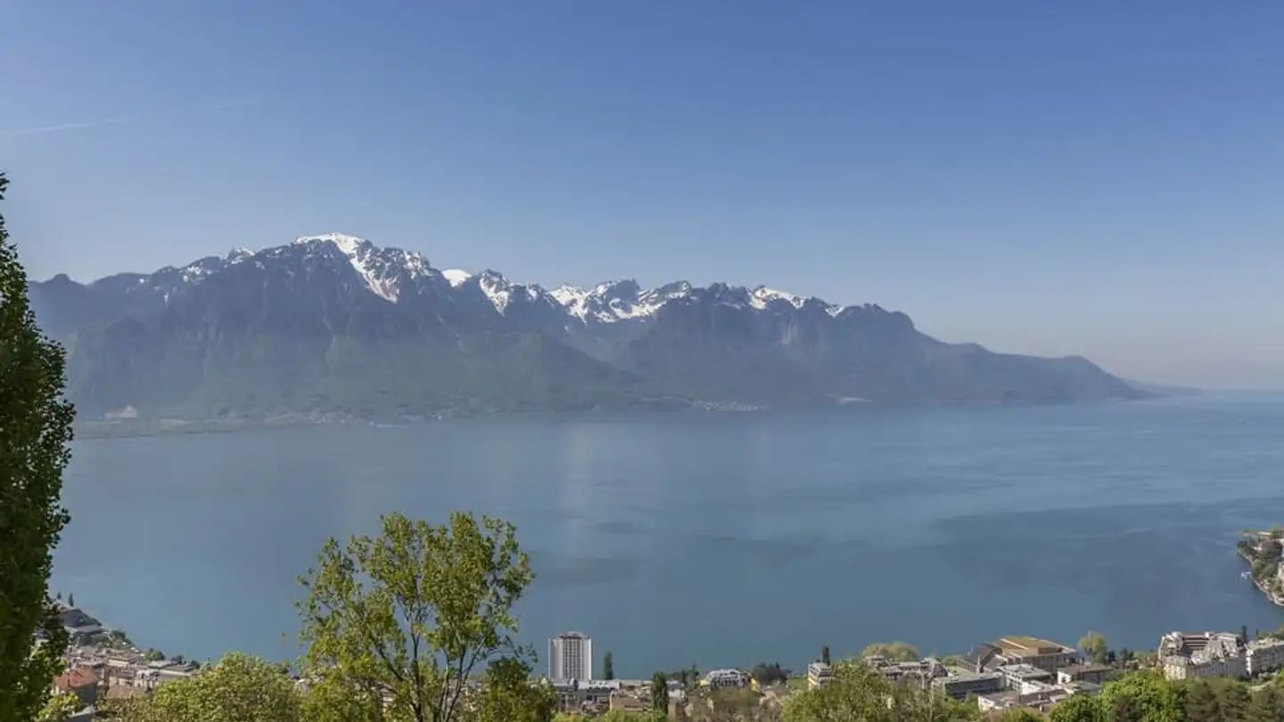 Single house for sale - 1822 Chernex - Photo 2