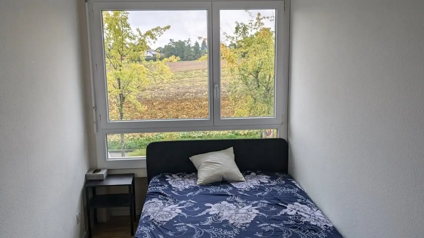 Stanza singola in affitto - 1217 Meyrin