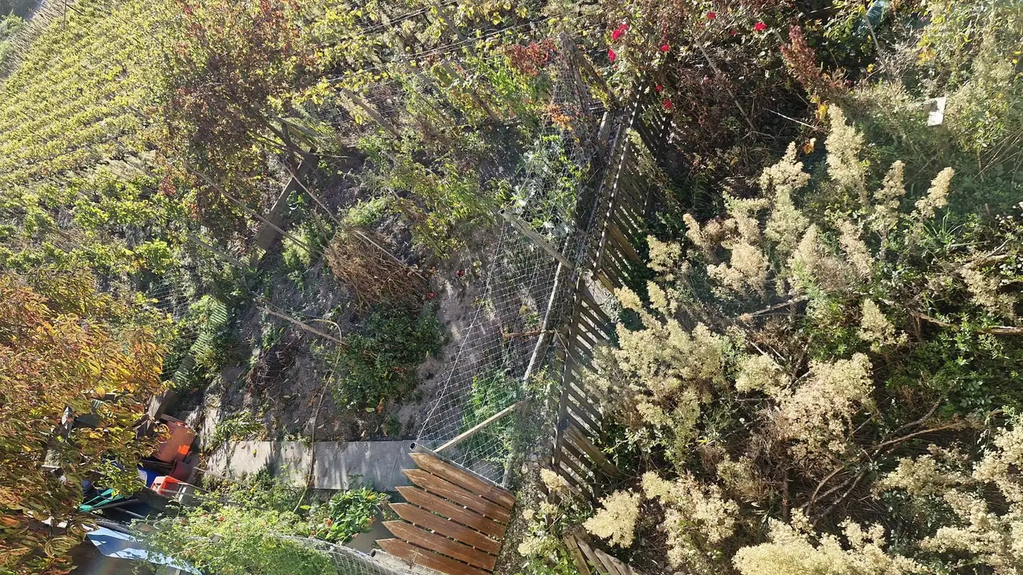 Apartment for rent - Route De La Morge 73, 1964 Conthey - Photo 3