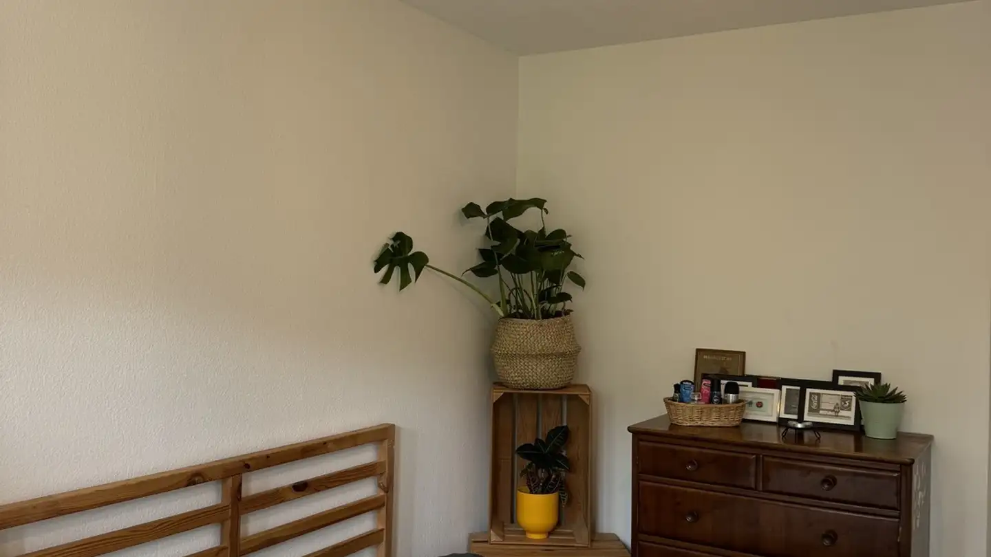 Chambre à louer - Hörnlistrasse 2, 8057 Zürich
