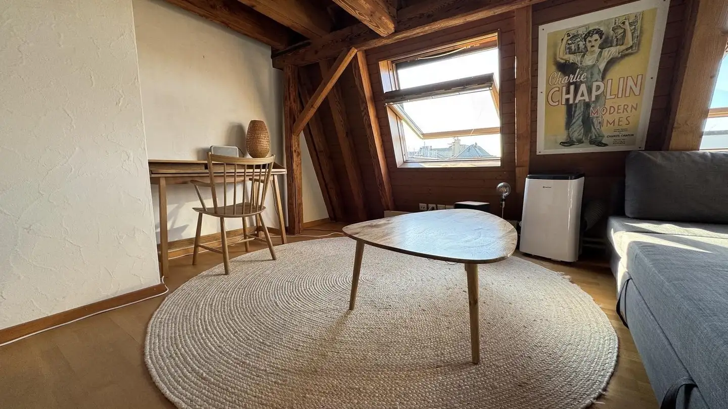 Appartamento in affitto - Zelgstrasse 13, 8003 Zürich - Foto 3