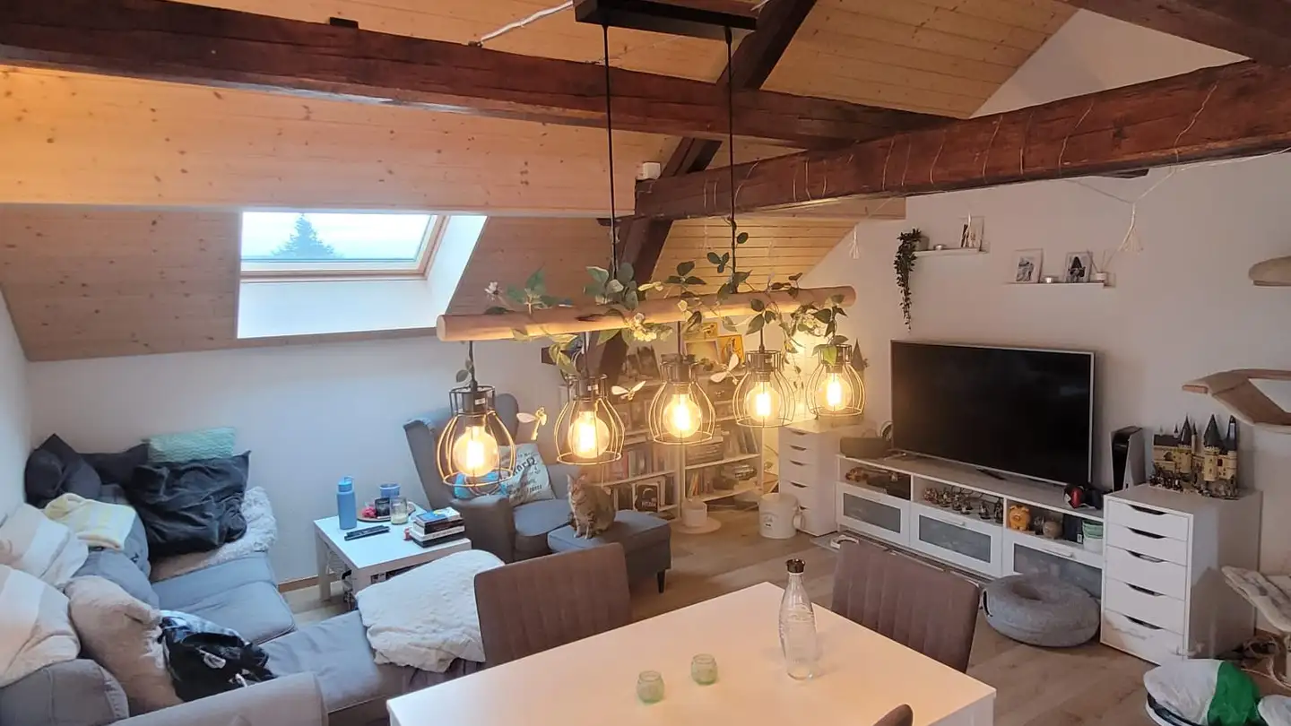 Attic flat for rent - Seengerstrasse 10, 5706 Boniswil - Photo 2