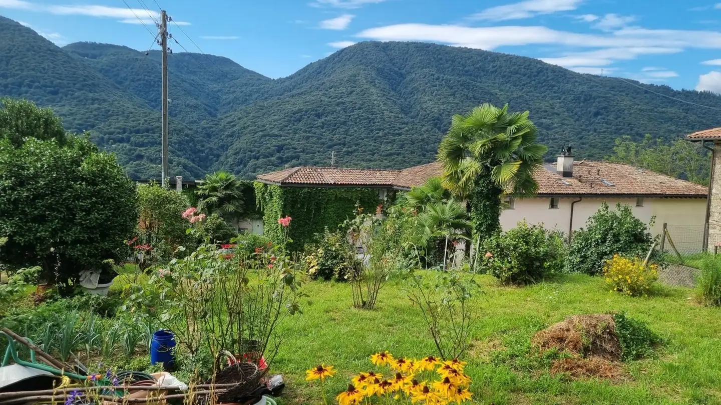 Terrain commercial à vendre - Via Monteggio, 6998 Monteggio