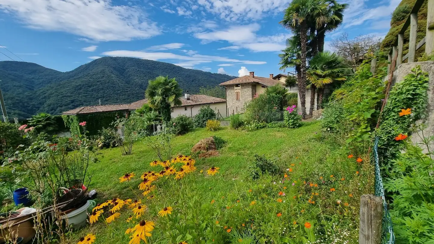 Terrain commercial à vendre - Via Monteggio, 6998 Monteggio - Photo 3