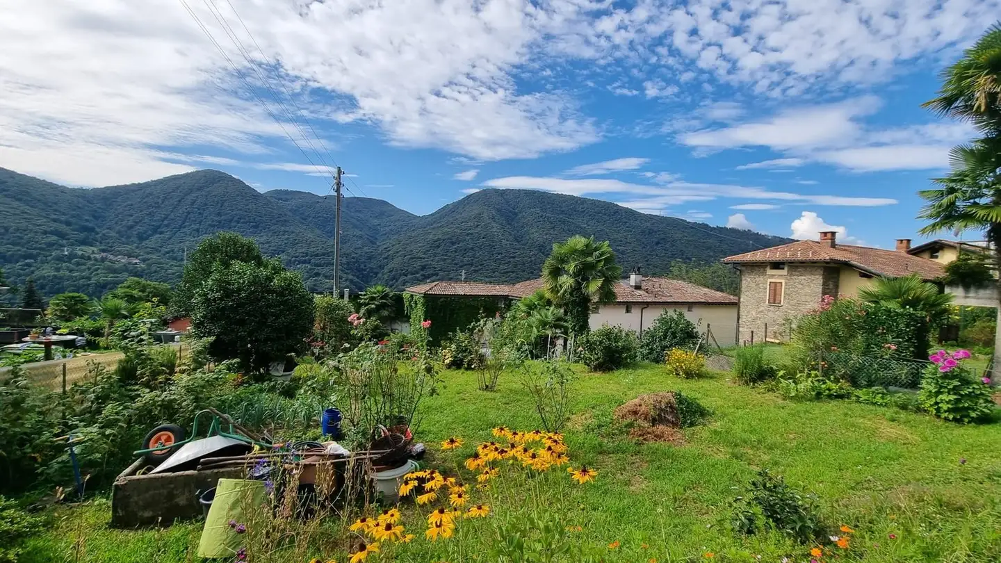 Terrain commercial à vendre - Via Monteggio, 6998 Monteggio - Photo 4