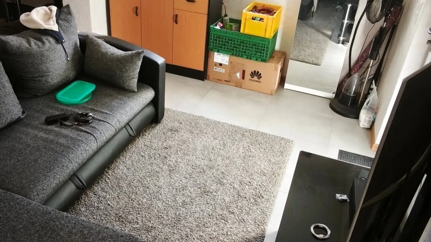 Appartamento in affitto - Route De Fribourg 111, 1634 La Roche FR - Foto 2