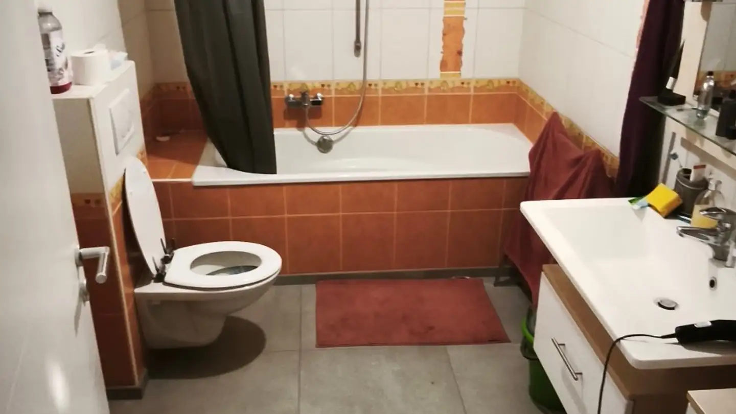 Appartamento in affitto - Route De Fribourg 111, 1634 La Roche FR - Foto 4