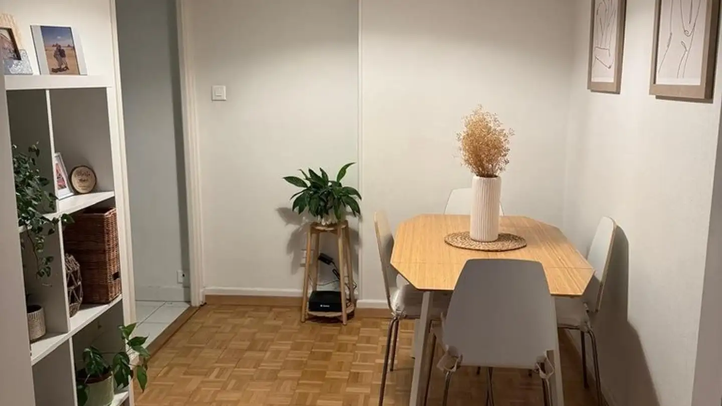 Appartamento in affitto - Avenue Alexandre-Vinet 35, 1004 Lausanne - Foto 3