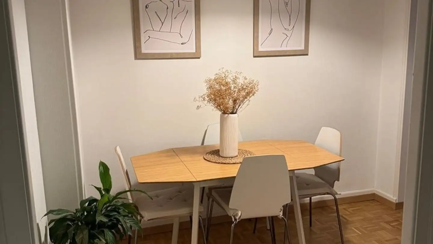 Appartamento in affitto - Avenue Alexandre-Vinet 35, 1004 Lausanne - Foto 2