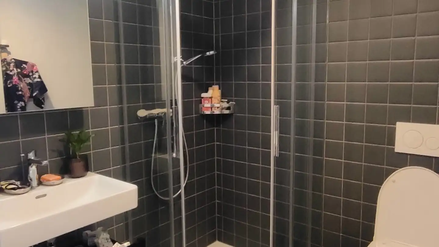 Apartment for rent - Allmendstrasse 1c, 6048 Horw - Photo 3