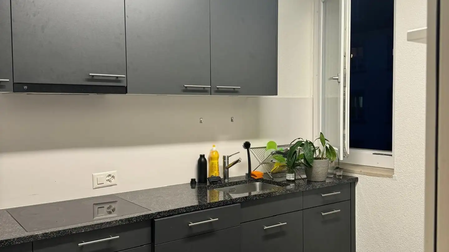 Stanza singola in affitto - Agnesstrasse 22, 8004 Zürich - Foto 4